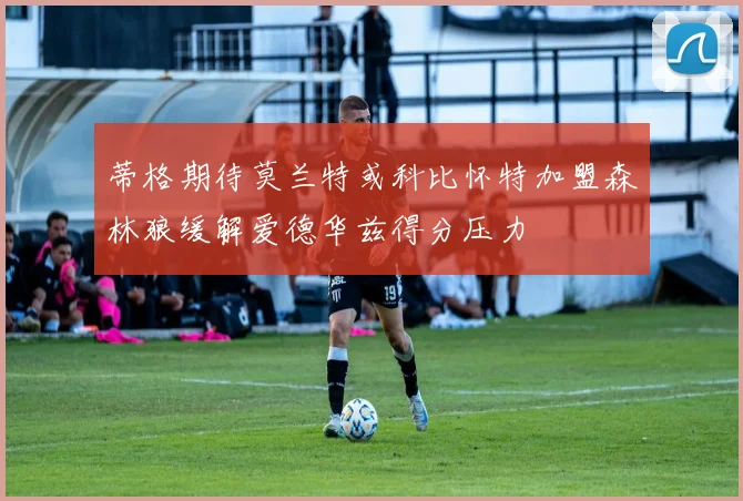 蒂格期待莫兰特或科比怀特加盟森林狼缓解爱德华兹得分压力
